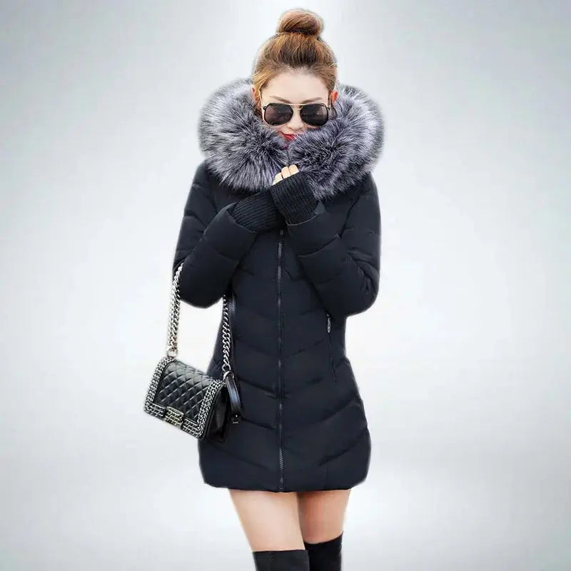 Women Winter Jacket 2026 New Arrival Fashion MultiShop24