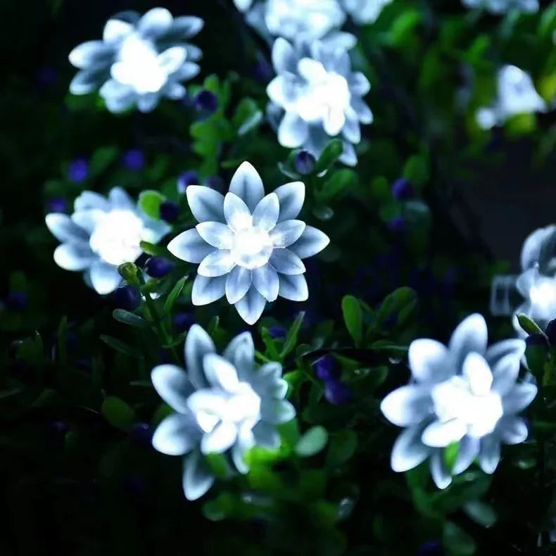 7 Colors Solar String Lights Outdoor  Lotus Flower Lamp 100/50/20LED String - Multi Shop24