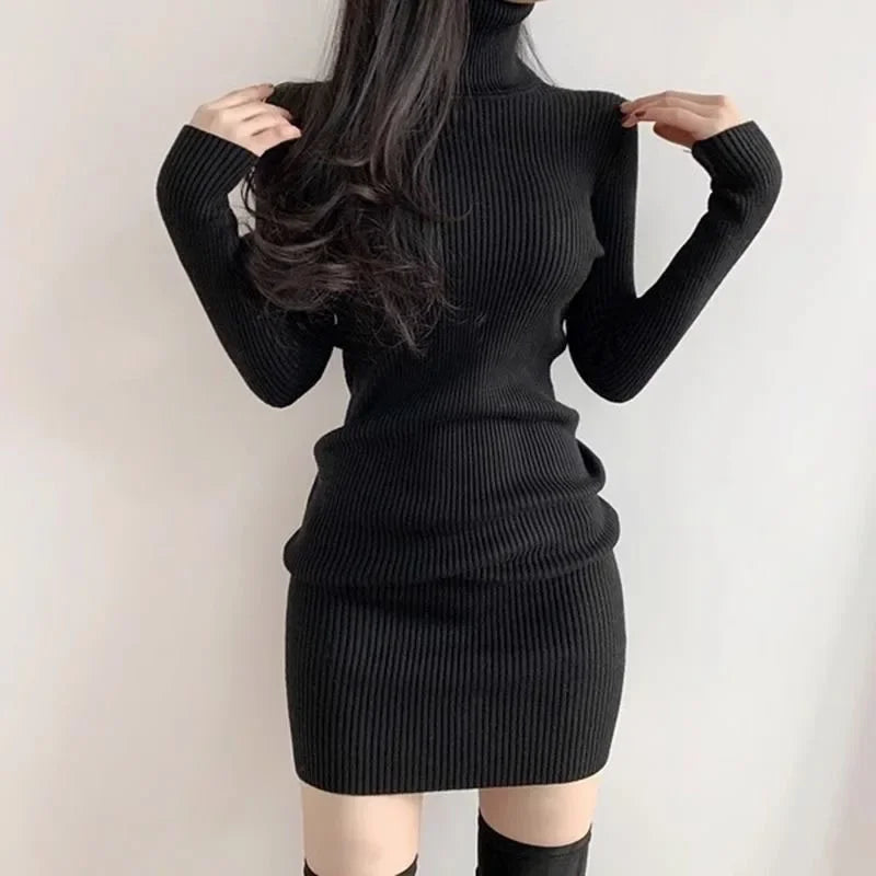 Fanan 2026 New Turtleneck Sweater Dresses Lady Sexy Slim Streetwear Bodycon Mini Dress Women Thick Basic Bottoming Dress Woman MultiShop24