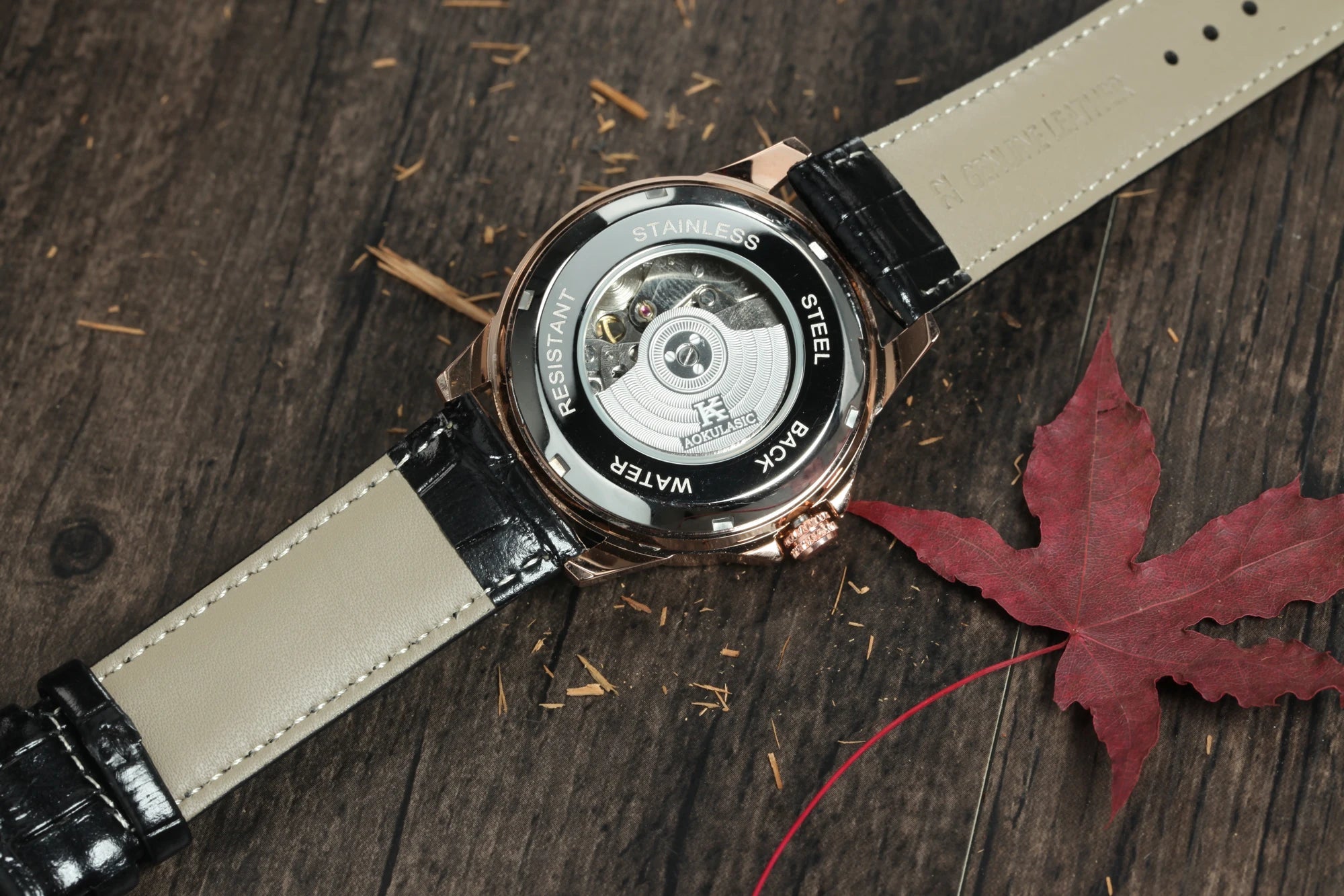 Tourbillon Skeleton Mechanical Watches Starry Sky Moon Phase Diamond Multi Shop24