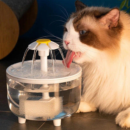 1200ml Electric Mute Automatic Cat Water Fountain with USB Filtering Multi Shop24