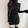 Fanan 2026 New Turtleneck Sweater Dresses Lady Sexy Slim Streetwear Bodycon Mini Dress Women Thick Basic Bottoming Dress Woman MultiShop24